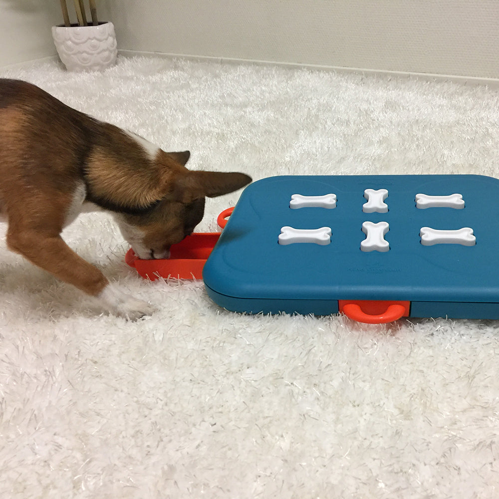 Nina Ottosson Dog Casino - Level 3