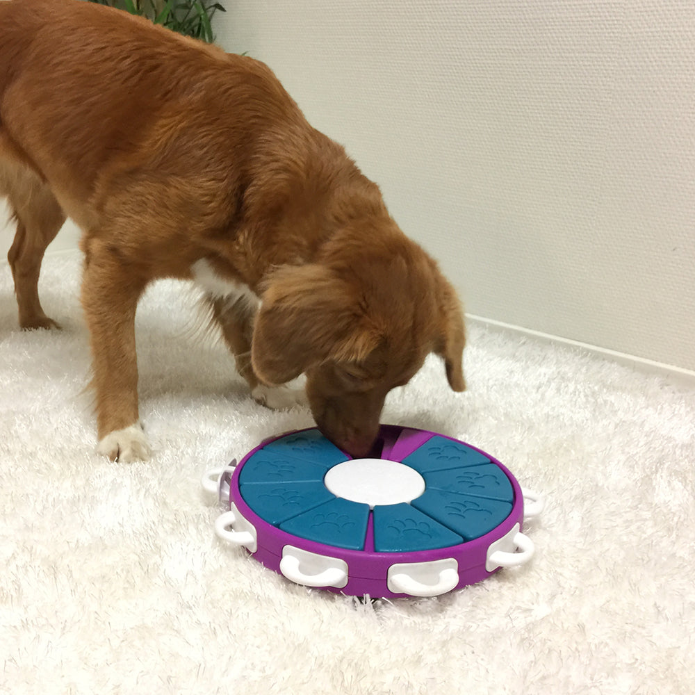 Nina Ottosson Dog Twister - Level 3