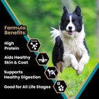 Victor Hi Pro Plus Dry Dog Food, 5lb
