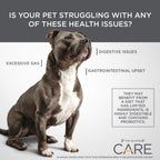 Diamond CARE Sensitive Stomach Formula Dry Dog Food