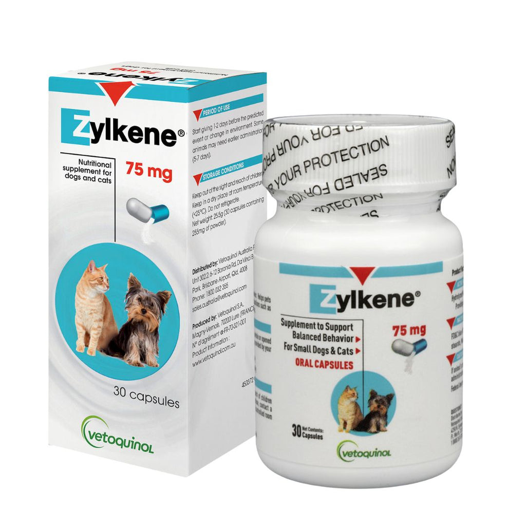 Zylkene Calming Supplement for Cats & Small Dogs (75mg)