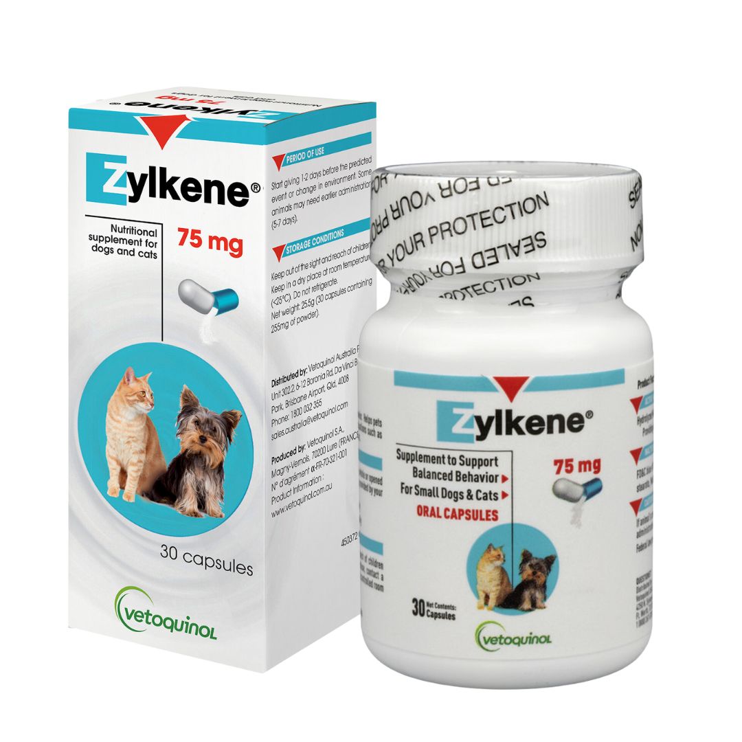 Zylkene Calming Supplement for Cats & Small Dogs (75mg)