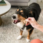 Whimzees Dental Dog Treats Occupy Antlers