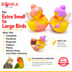 1441 Pk2 Fairy Duck