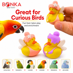 1441 Pk2 Fairy Duck