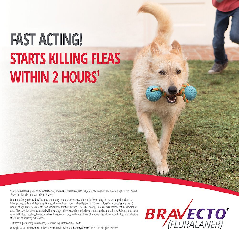 Bravecto Dog Chew Green 10-20kg