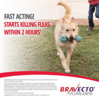 Bravecto Dog Chew Green 10-20kg