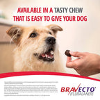 Bravecto Dog Chew Green 10-20kg