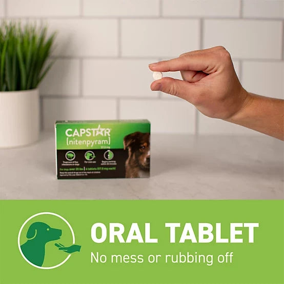 Capstar Flea Control Tablets for Dogs 25 lb. and Up, 6 ct.