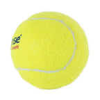 Petsense Logo Classic Tennis Ball Dog Toy