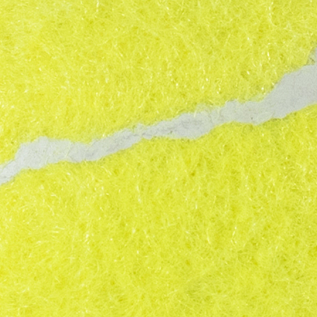 Petsense Logo Classic Tennis Ball Dog Toy