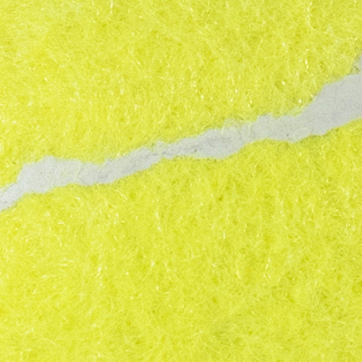 Petsense Logo Classic Tennis Ball Dog Toy