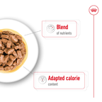 Royal Canin Mini Ageing Gravy Wet Dog Food