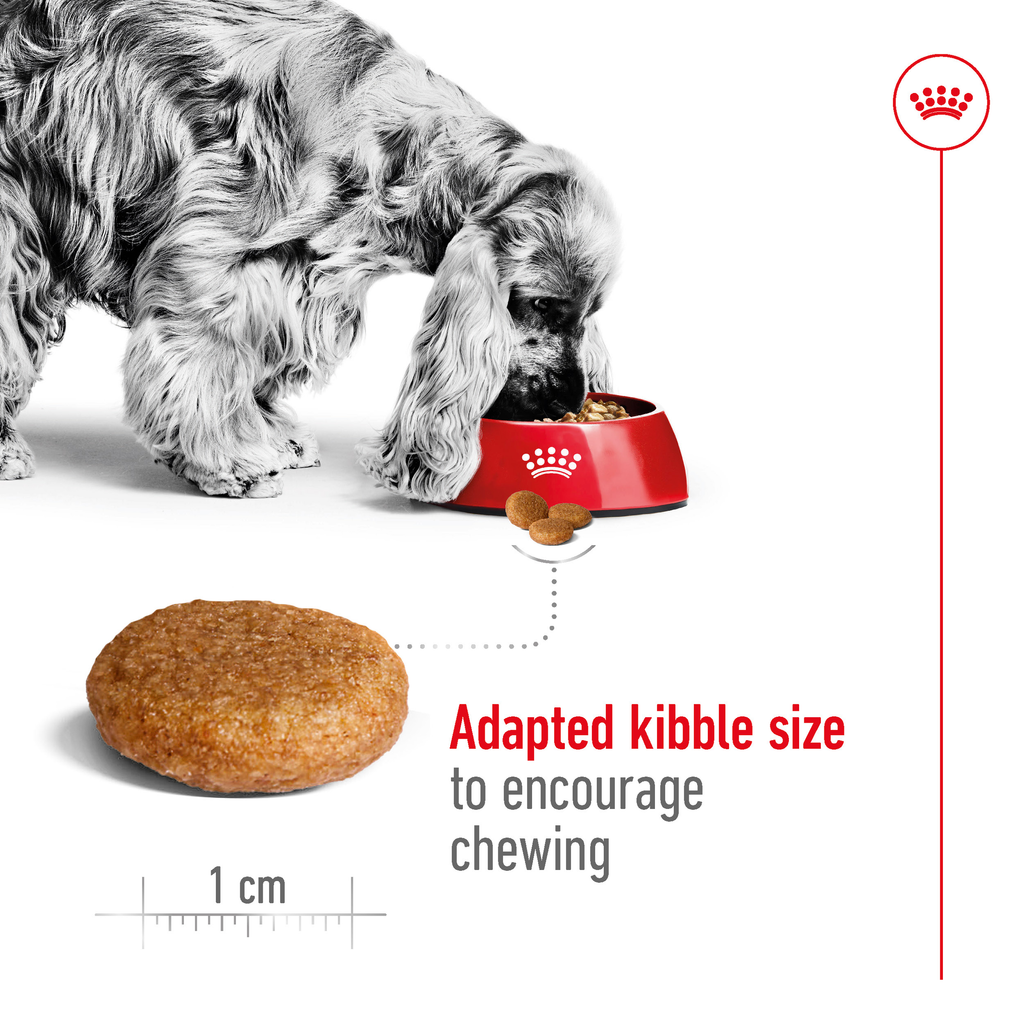 Royal Canin Medium Adult
