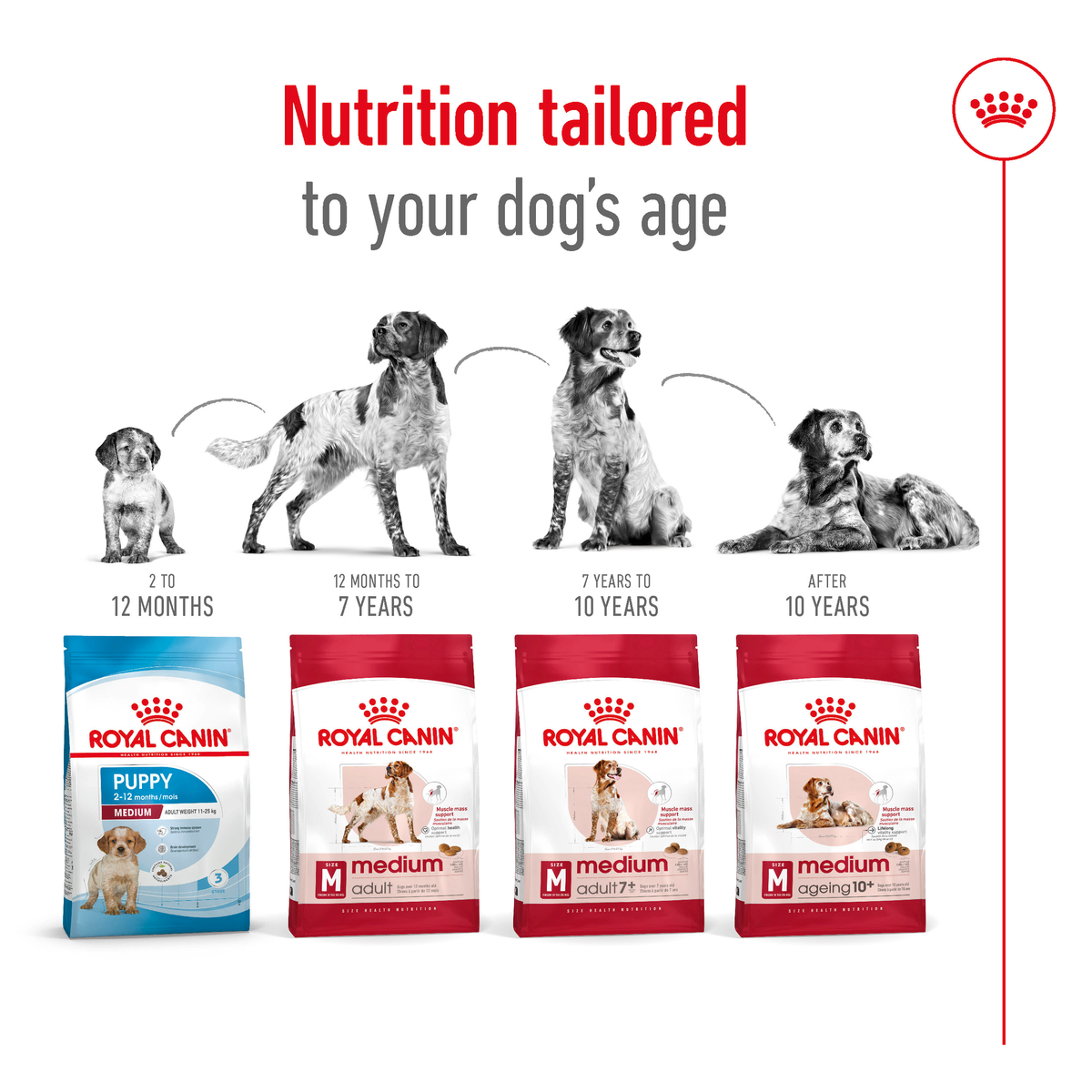 Royal Canin Medium Adult