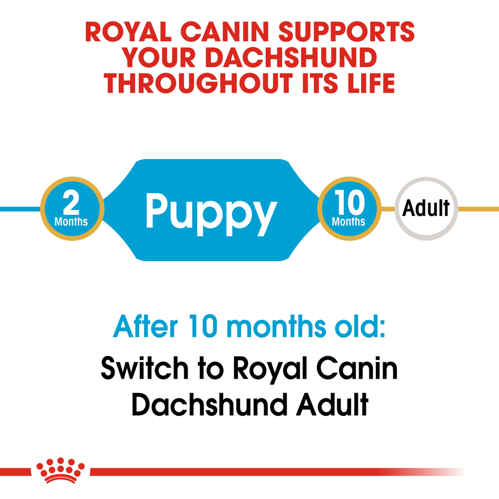 Royal Canin Dachshund Puppy