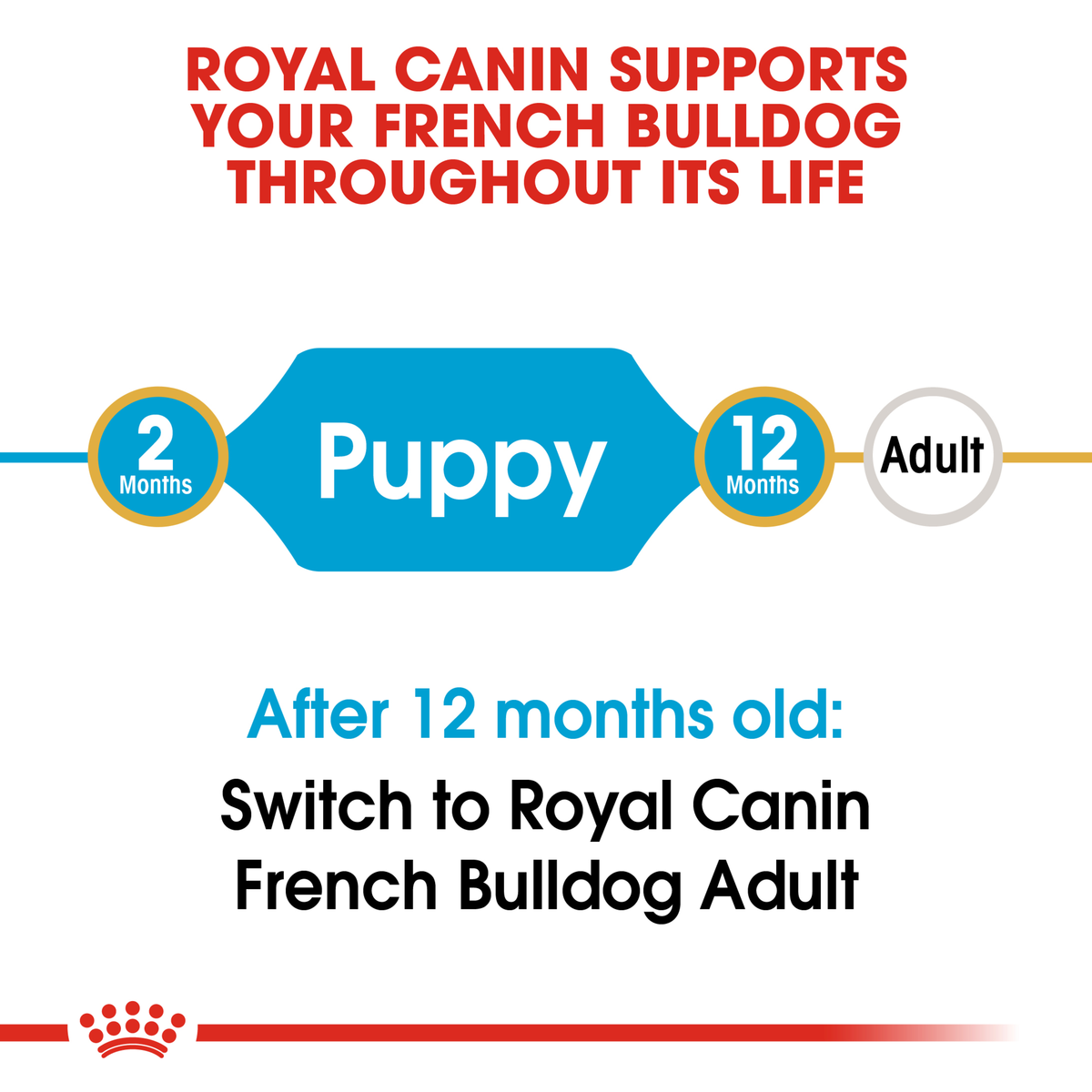Royal Canin French Bulldog Puppy