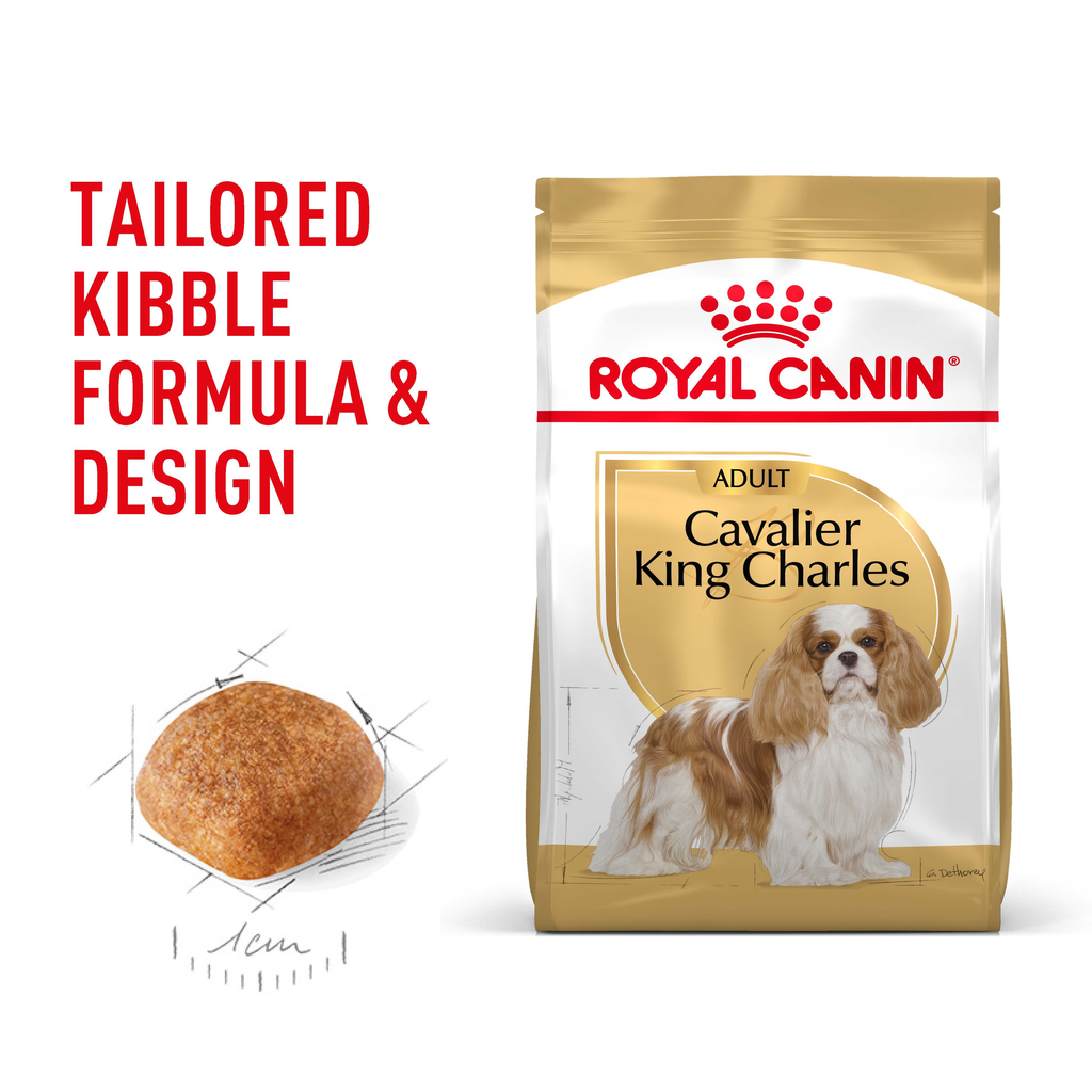 Royal Canin Cavalier King Charles