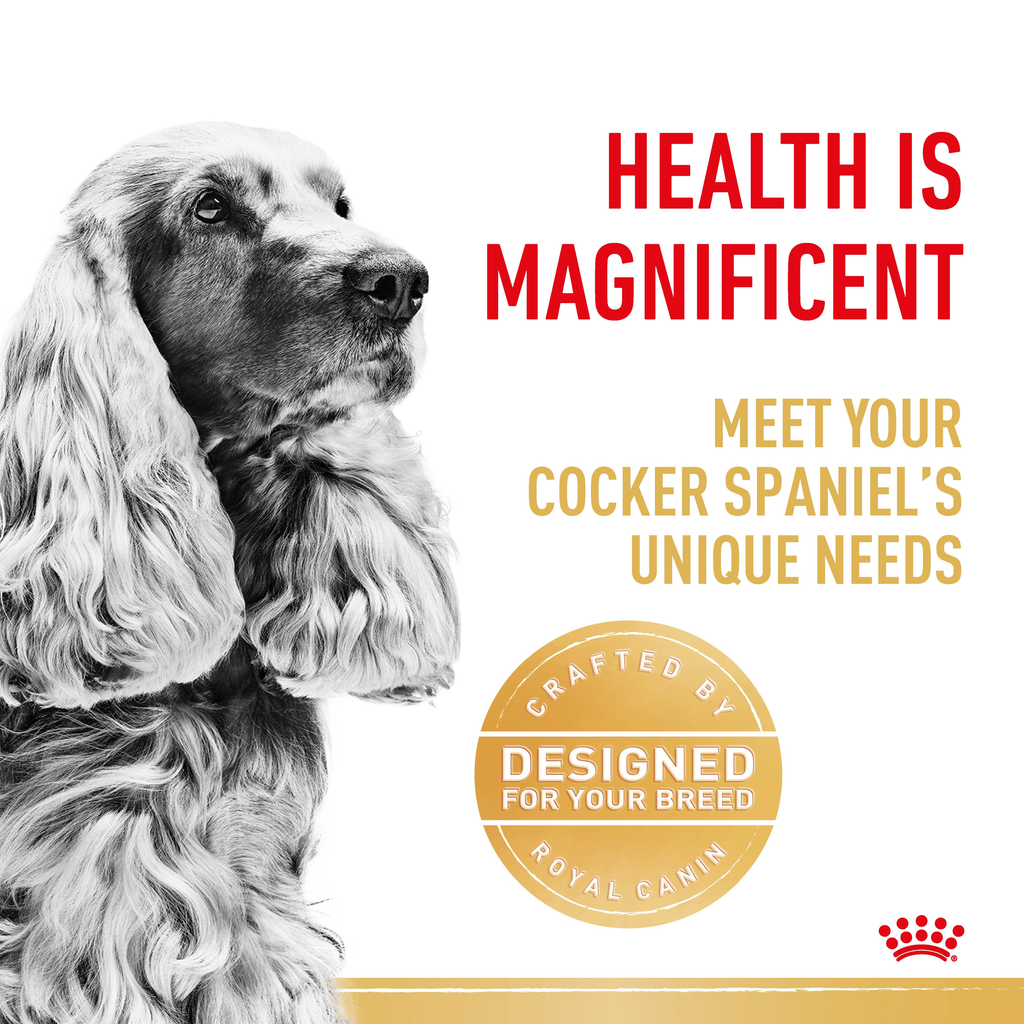 Royal Canin Cocker Spaniel