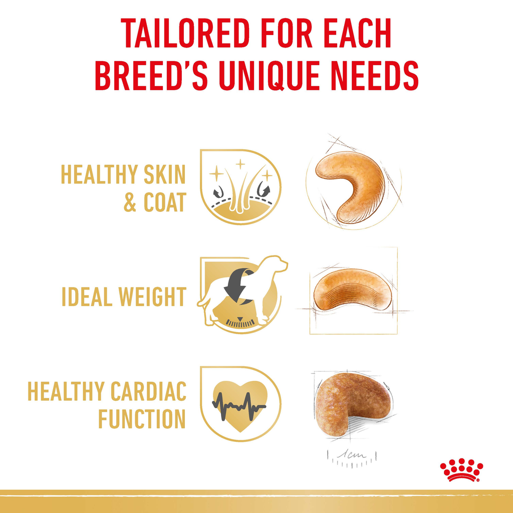 Royal Canin Cocker Spaniel