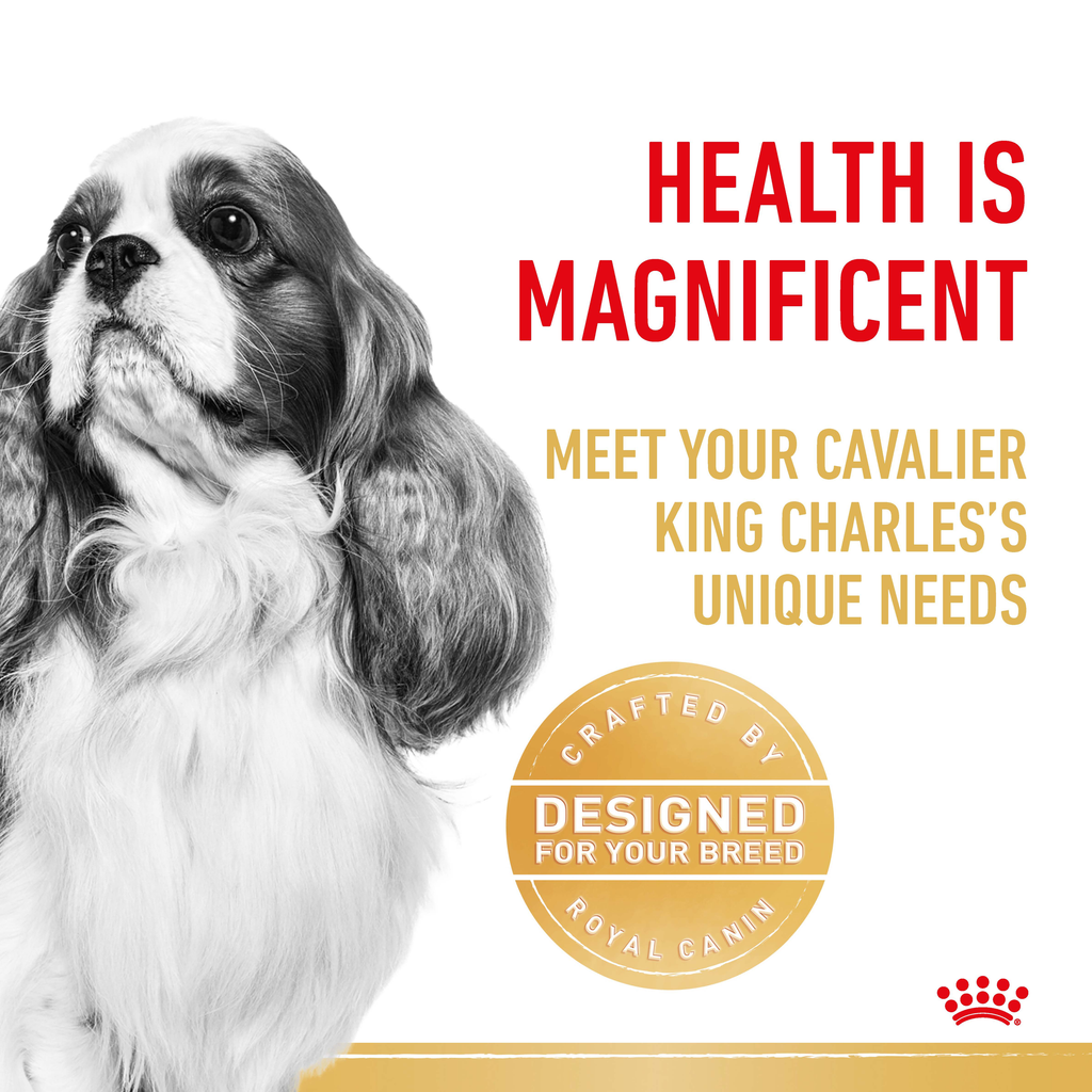 Royal Canin Cavalier King Charles