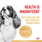 Royal Canin Cavalier King Charles