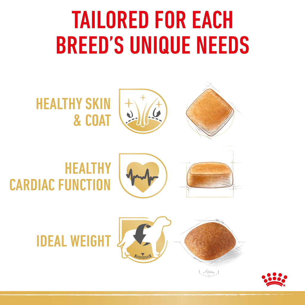 Royal Canin Golden Retriever