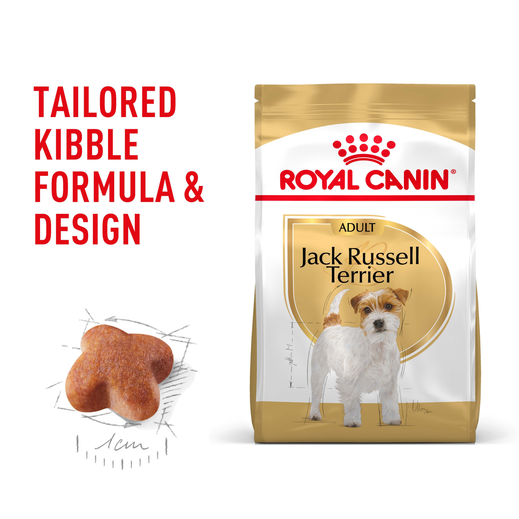 Royal Canin Jack Russell Terrier
