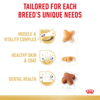 Royal Canin Jack Russell Terrier