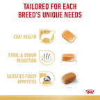 Royal Canin Maltese