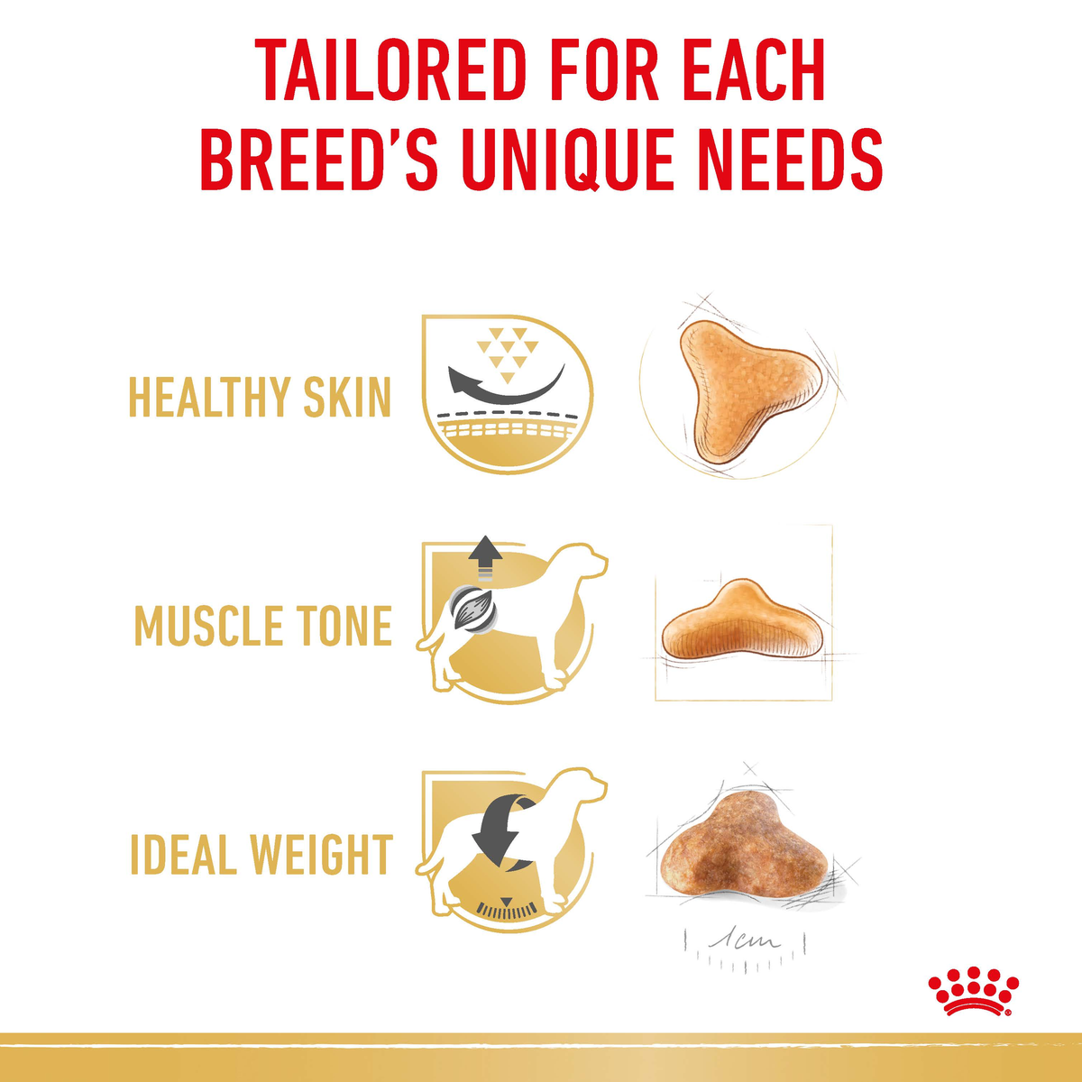 Royal Canin Pug