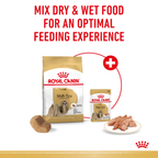 Royal Canin Shih Tzu