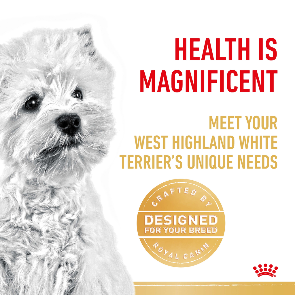 Royal Canin West Highland White Terrier