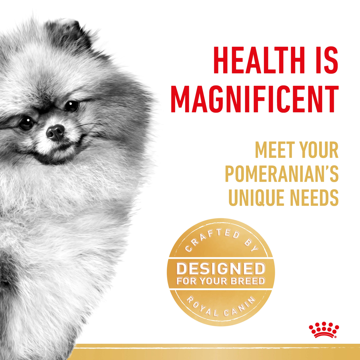 Royal Canin Pomeranian Wet Dog Food in Loaf