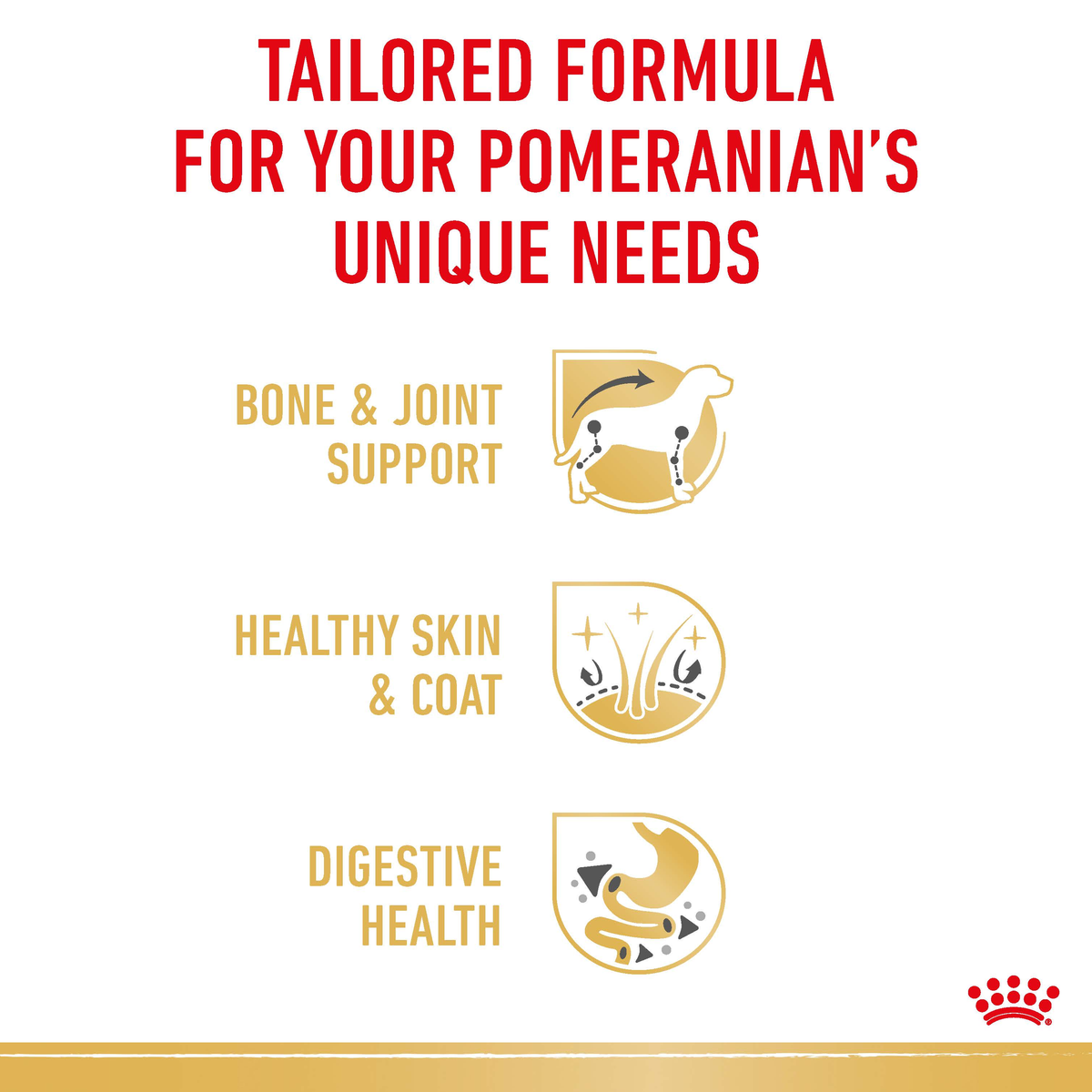 Royal Canin Pomeranian Wet Dog Food in Loaf