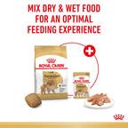 Royal Canin Pomeranian Wet Dog Food in Loaf