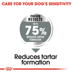 Royal Canin Maxi Dental Care