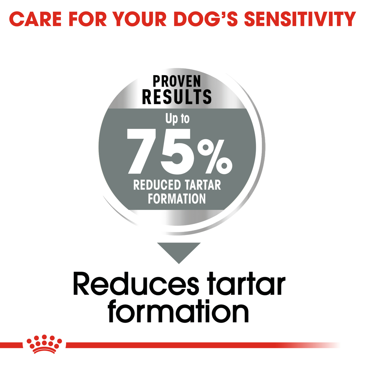 Royal Canin Maxi Dental Care