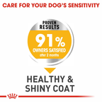 Royal Canin Medium Dermacomfort
