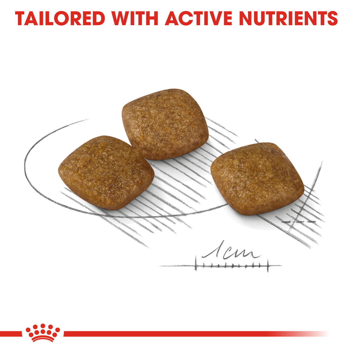 Royal Canin Mini Relax Care