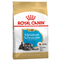 Royal Canin Miniature Schnauzer Puppy