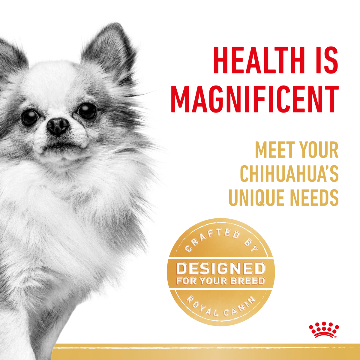 Royal Canin Chihuahua Wet Dog Food