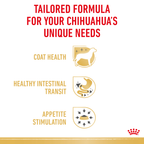 Royal Canin Chihuahua Wet Dog Food