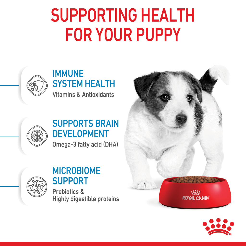 Royal Canin Mini Puppy