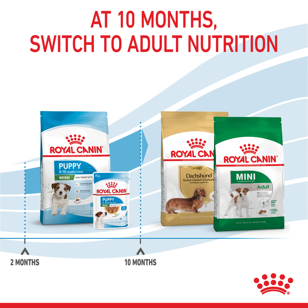 Royal Canin Mini Puppy