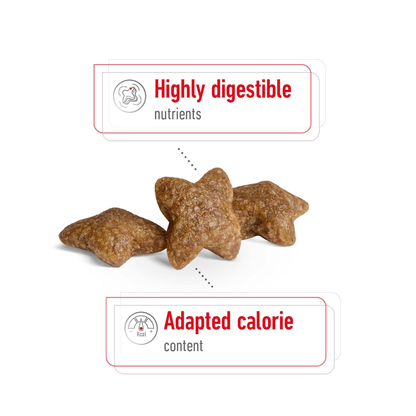 Royal Canin Mini Adult