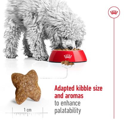 Royal Canin Mini Adult