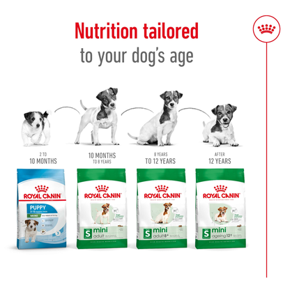 Royal Canin Mini Adult