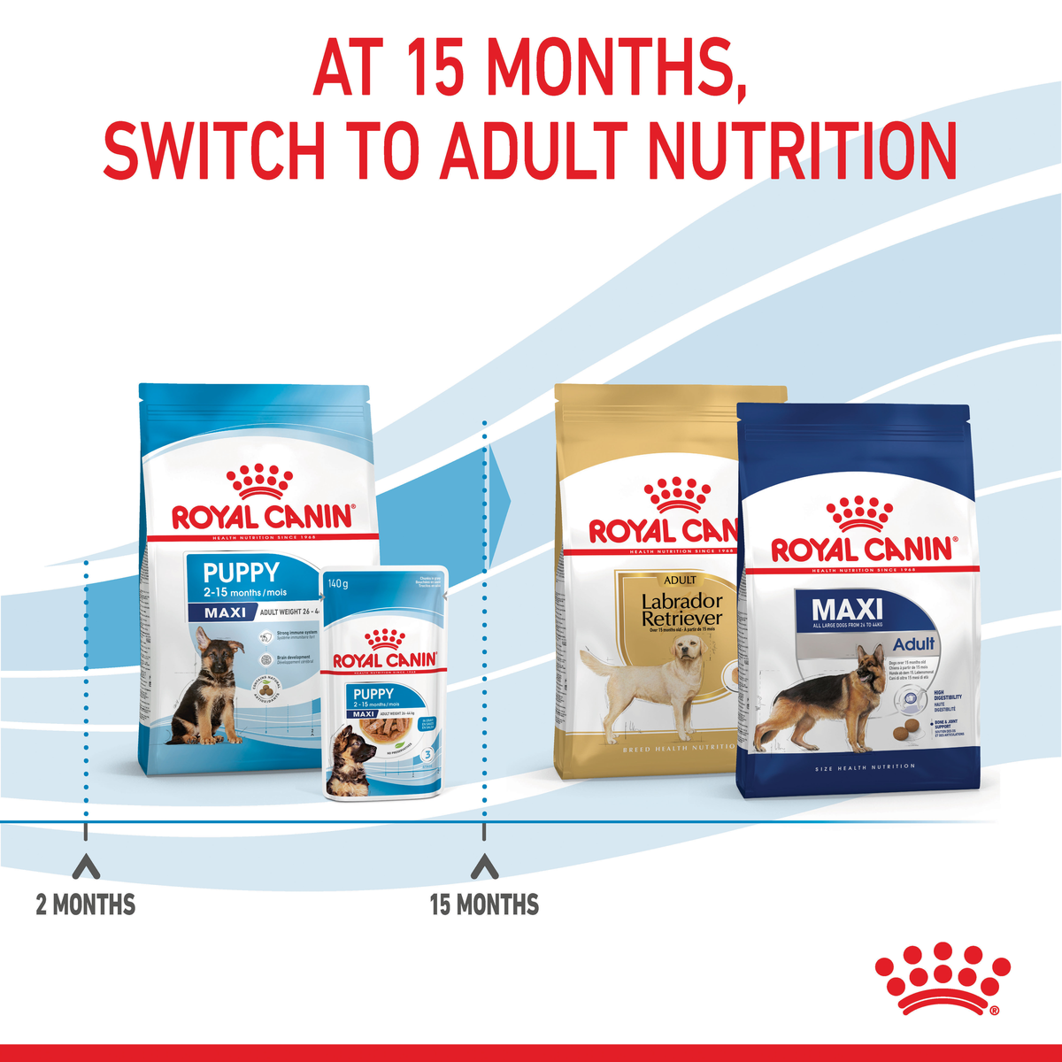 Royal Canin Maxi Puppy