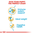 Royal Canin Miniature Schnauzer Puppy